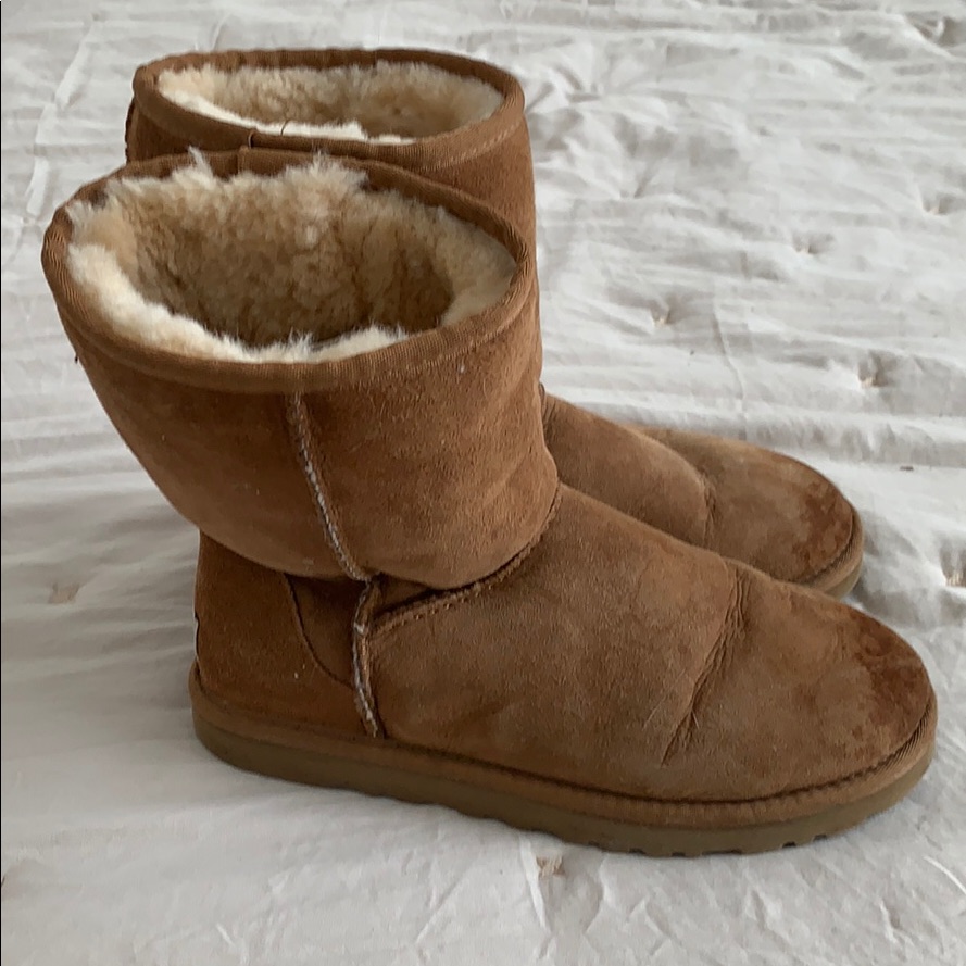 Ugg Chestnut Boot